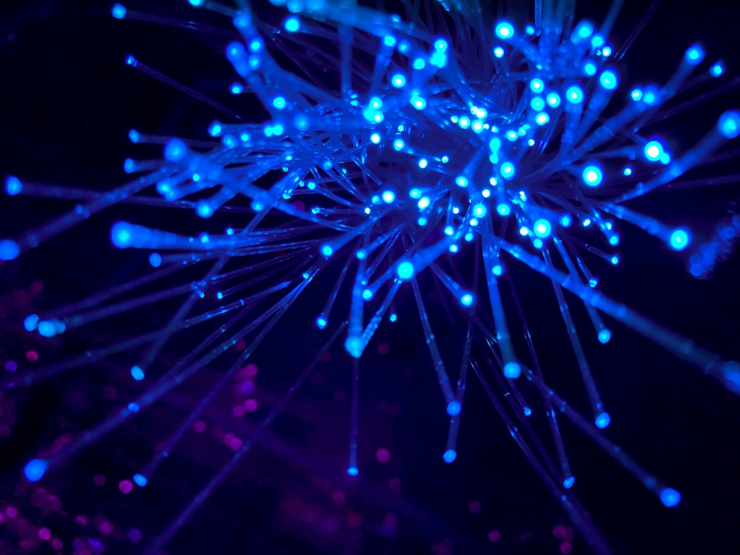Die Zukunft der künstlichen Intelligenz